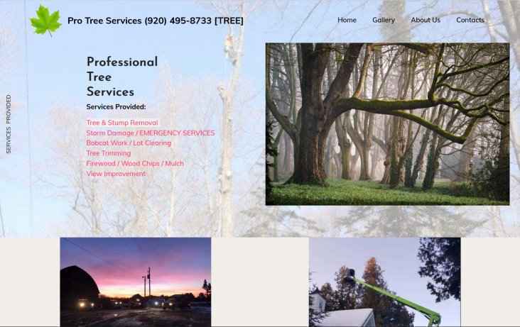 Professional Tree Services